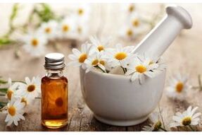 Phytopreparation based on chamomile flowers for the treatment of arthrosis